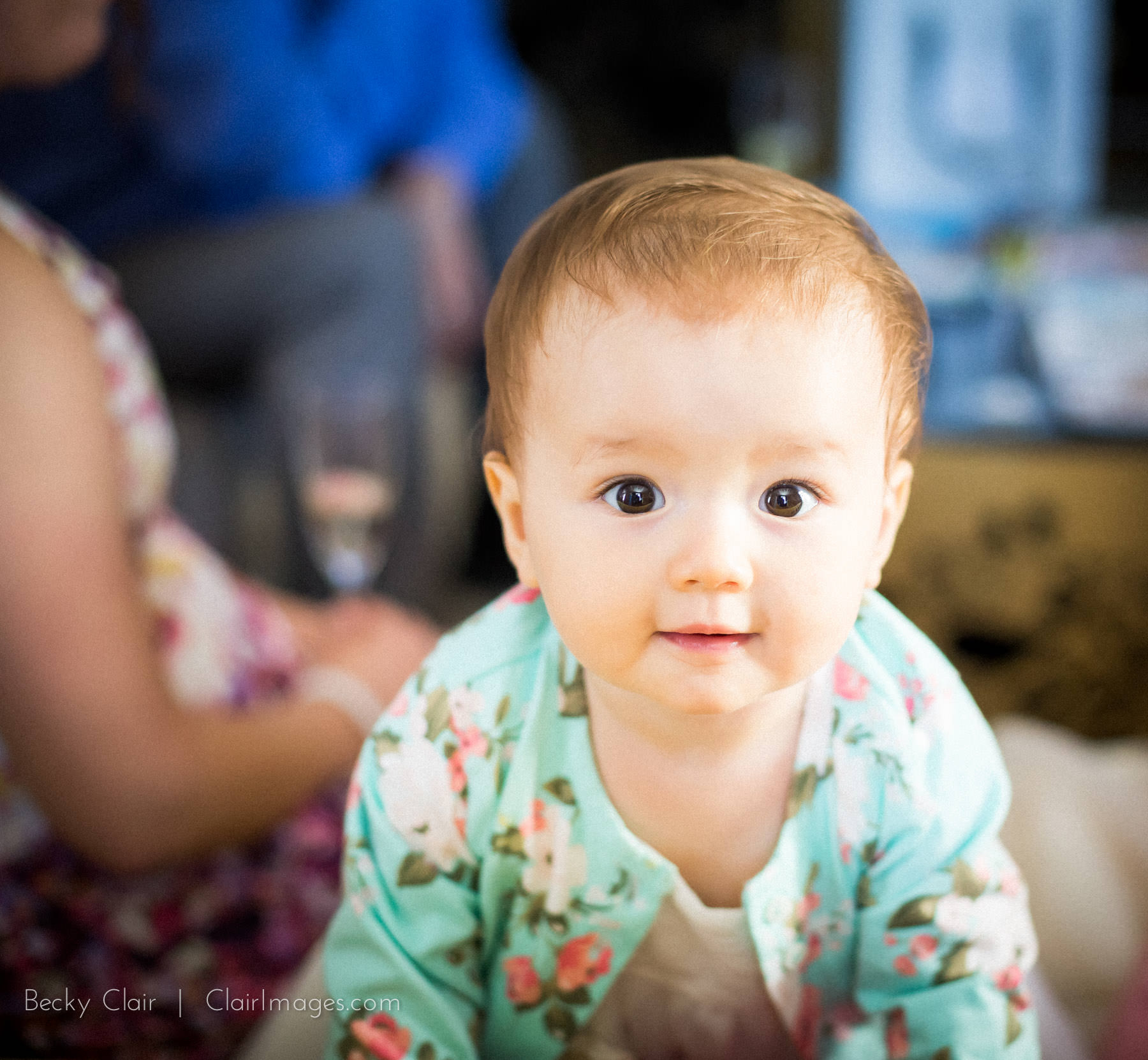 San Francisco Weddings - San Francisco City Hall © Clair Images 2017