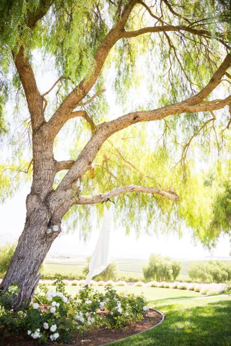 Greengate Ranch Wedding - Reese & Lauren - Clair Images - San Luis Obispo Wedding Photographers